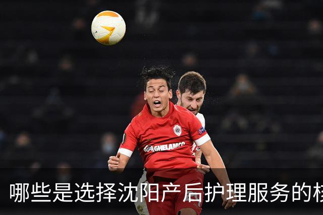 哪些是选择沈阳产后护理服务的核心考量因素